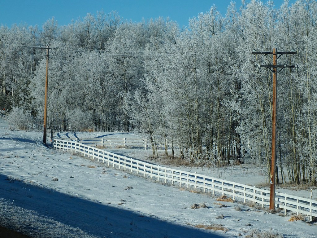 West Bragg Creek Crosscountry Ski Outing Frost and fenc… Flickr