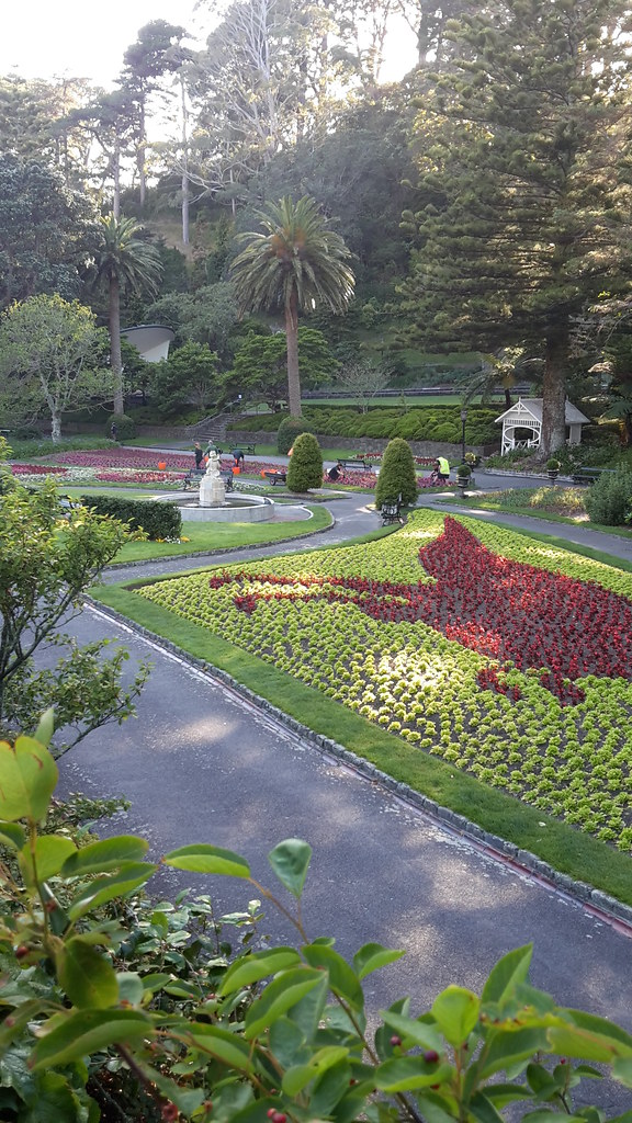 20161220_074658 The gardens beside Buchanan Way, looking t… Flickr