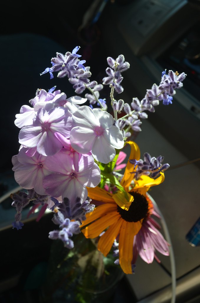 Flowers from Freeport erinmc123 Flickr