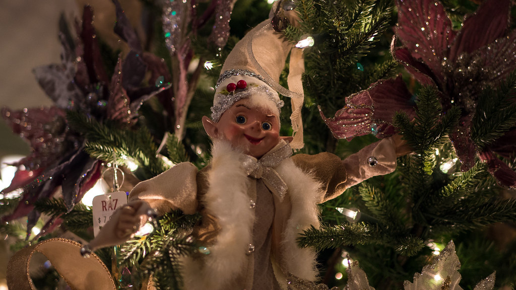 P1280114 Cello? You've Got a Bass! Flickr