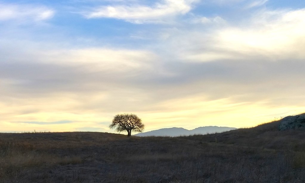 Deer Island Autumn hike. Jay Sterling Austin Flickr