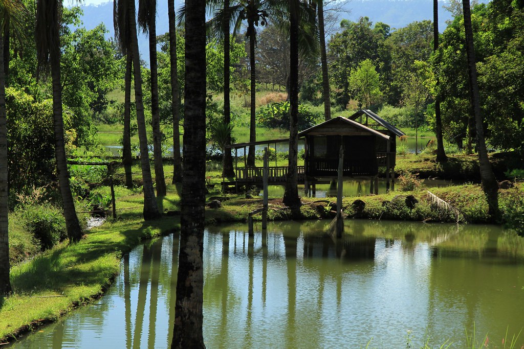 House Nicolas Lefebvre Flickr