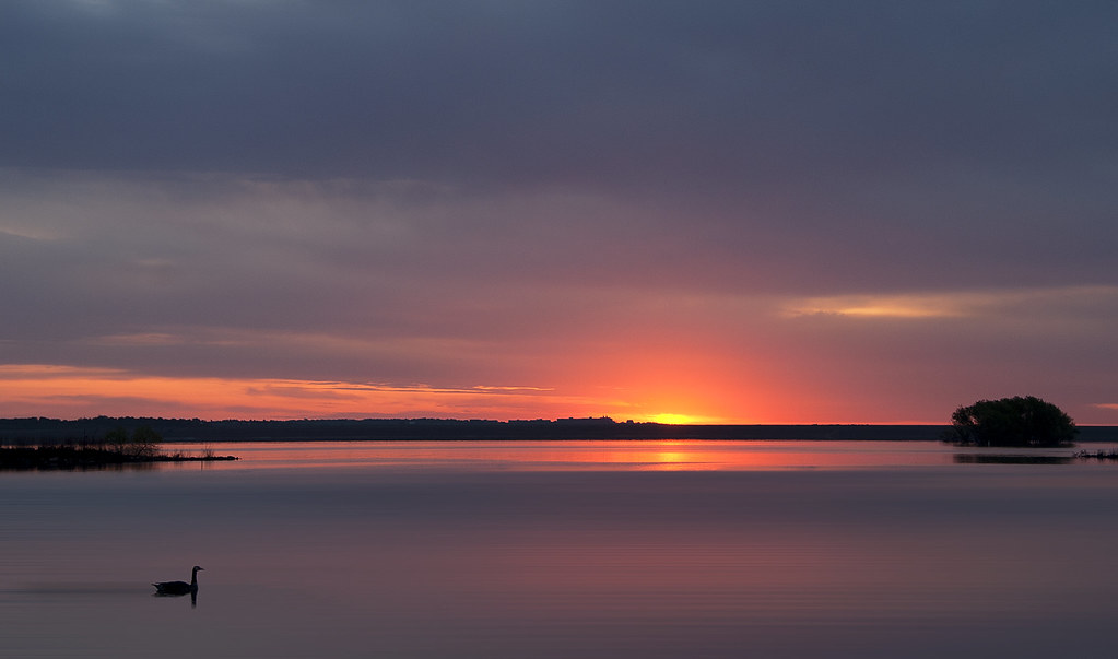 Swimming at Sunrise Clinton Lake Lawrence, Kansas Marciana