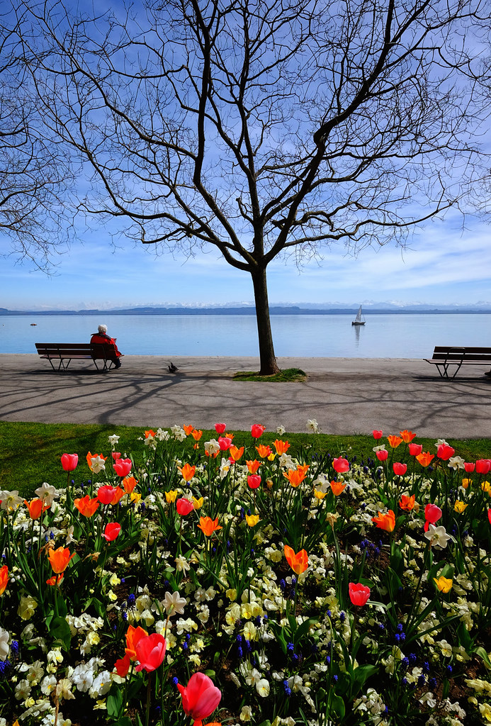 Springtime in Neuchatel, Switzerland The flowers were bloo… Flickr