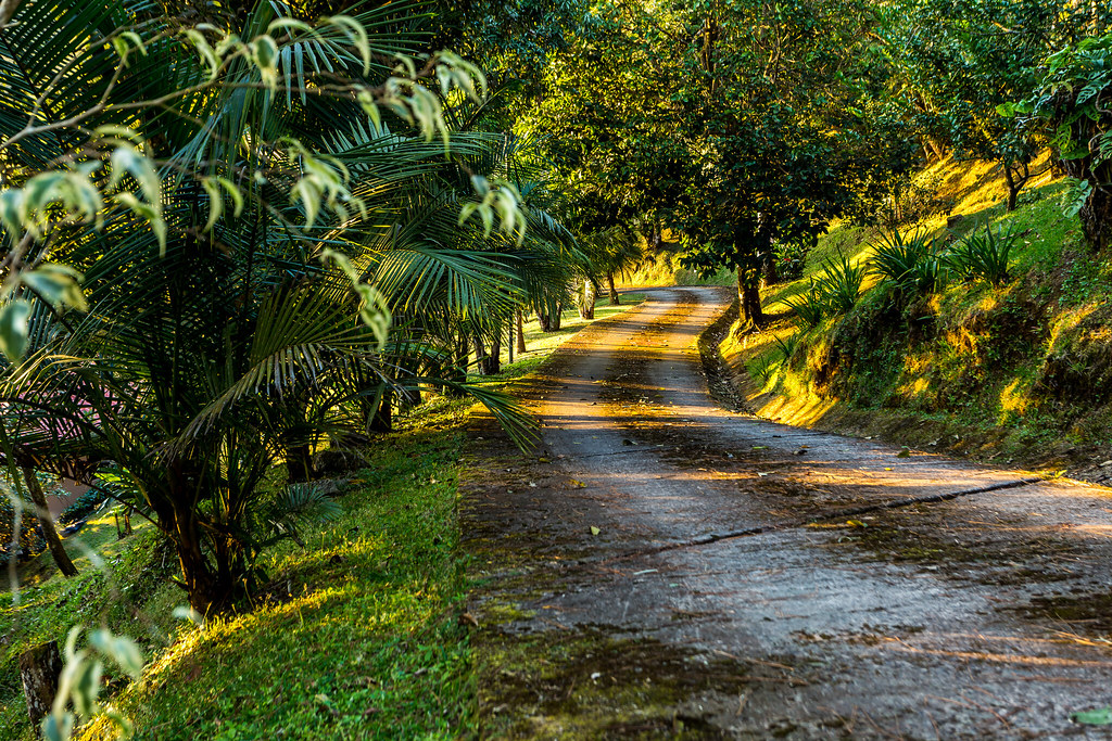 2.Driveway Royal Palm Realty Group Flickr