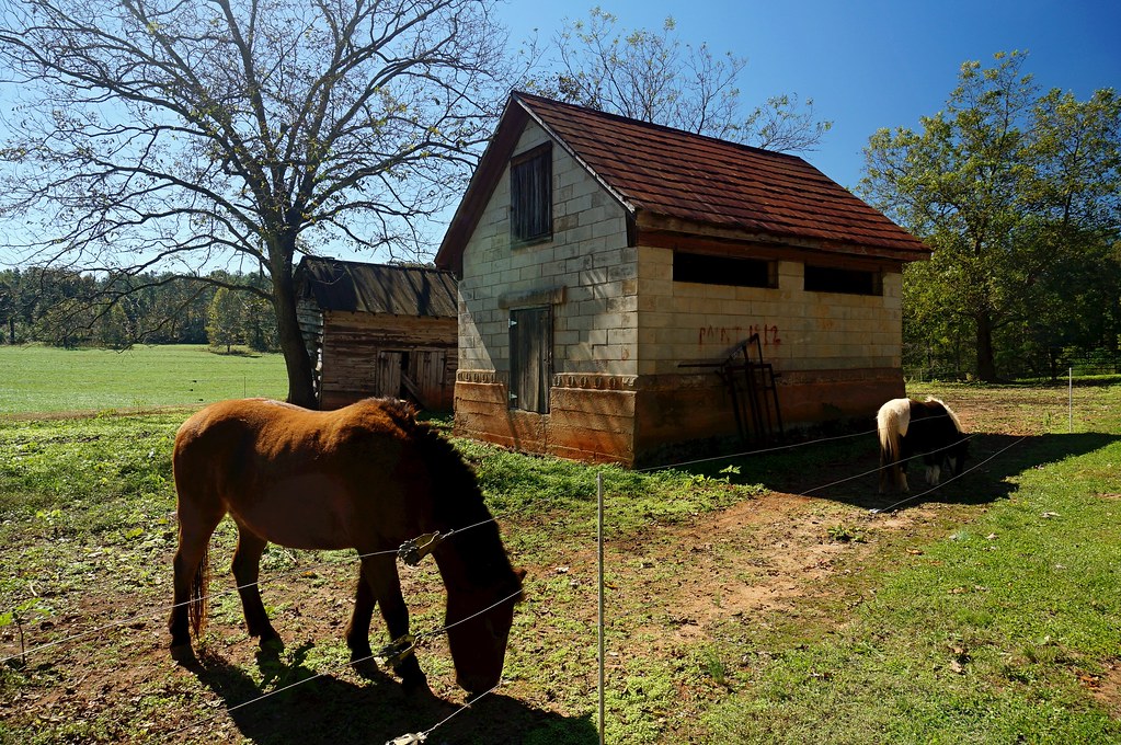 Shields Ethridge Farm Jefferson, Horse & Pony Sh… steveartist Flickr