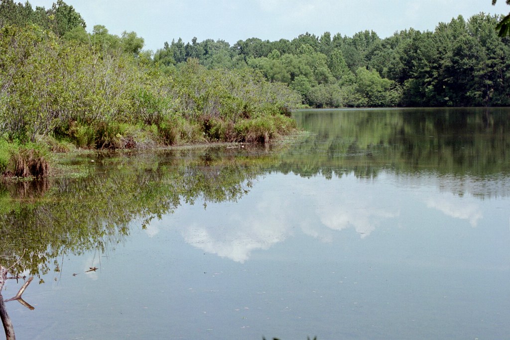 Lake A lake in Coosada Al. Beautiful. See the some of my o… Flickr