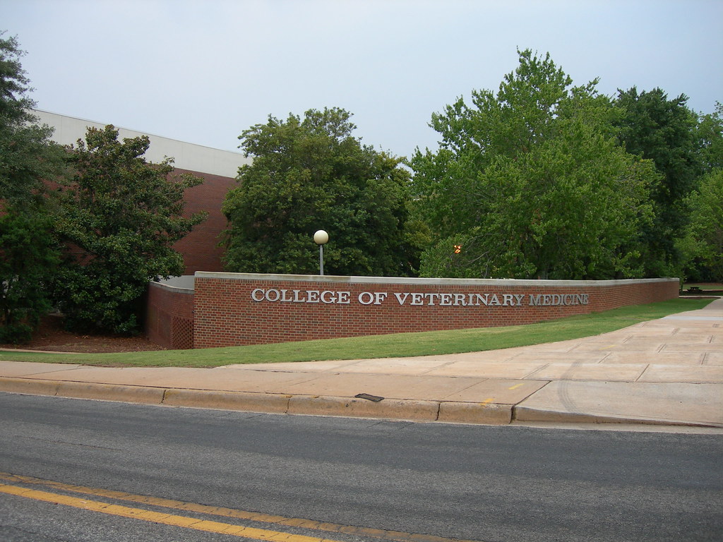UGA Vet School Jimmy Emerson, DVM Flickr