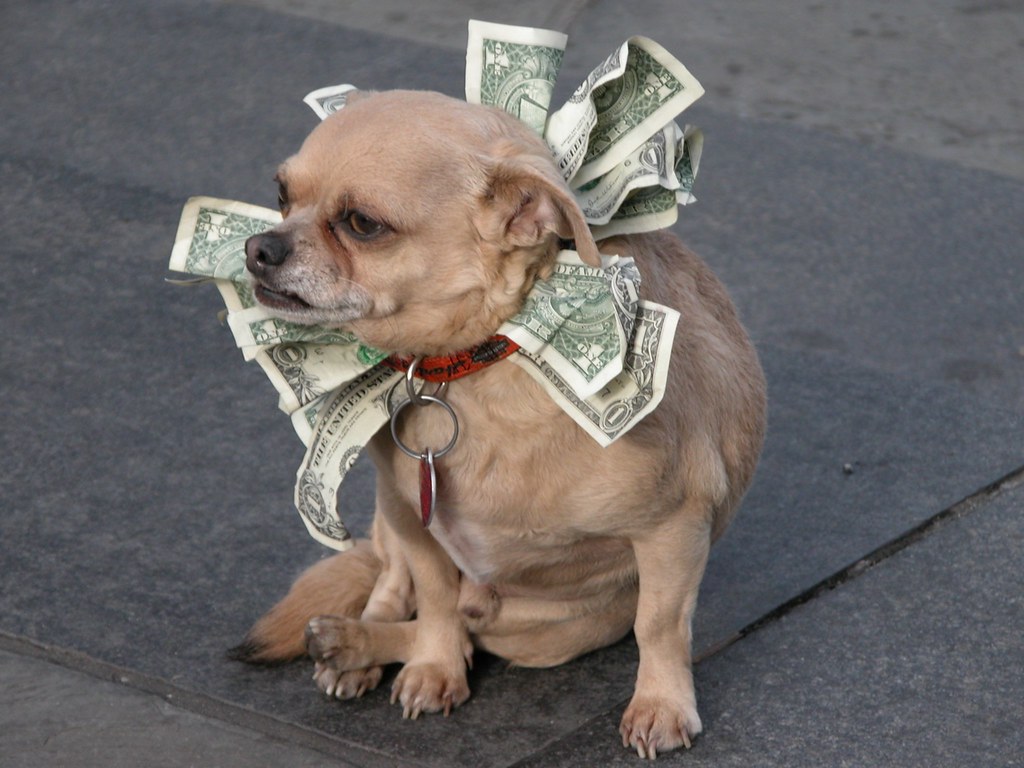 moneybags Dog collecting tips on Jackson Square Added to … Flickr