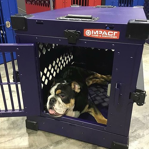 Collapsable crates from the akc show zigzag e english… Flickr