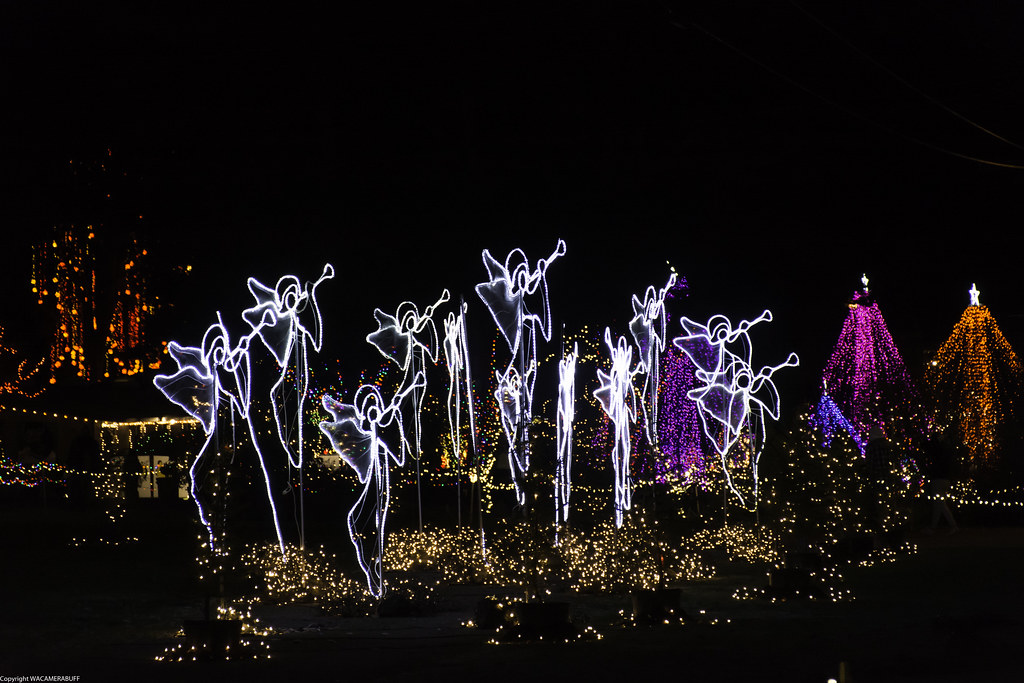 Christmas lights at Warm Beach wacamerabuff Flickr