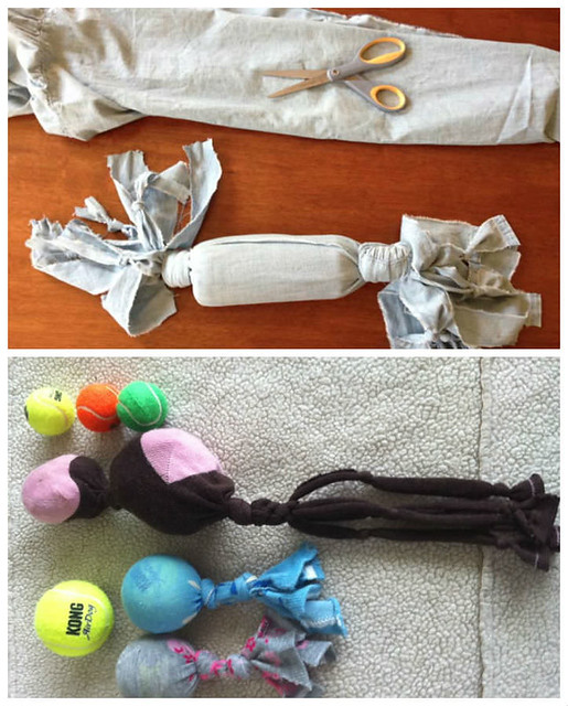How to make pet toys from recycled materials www.recyclart… Flickr