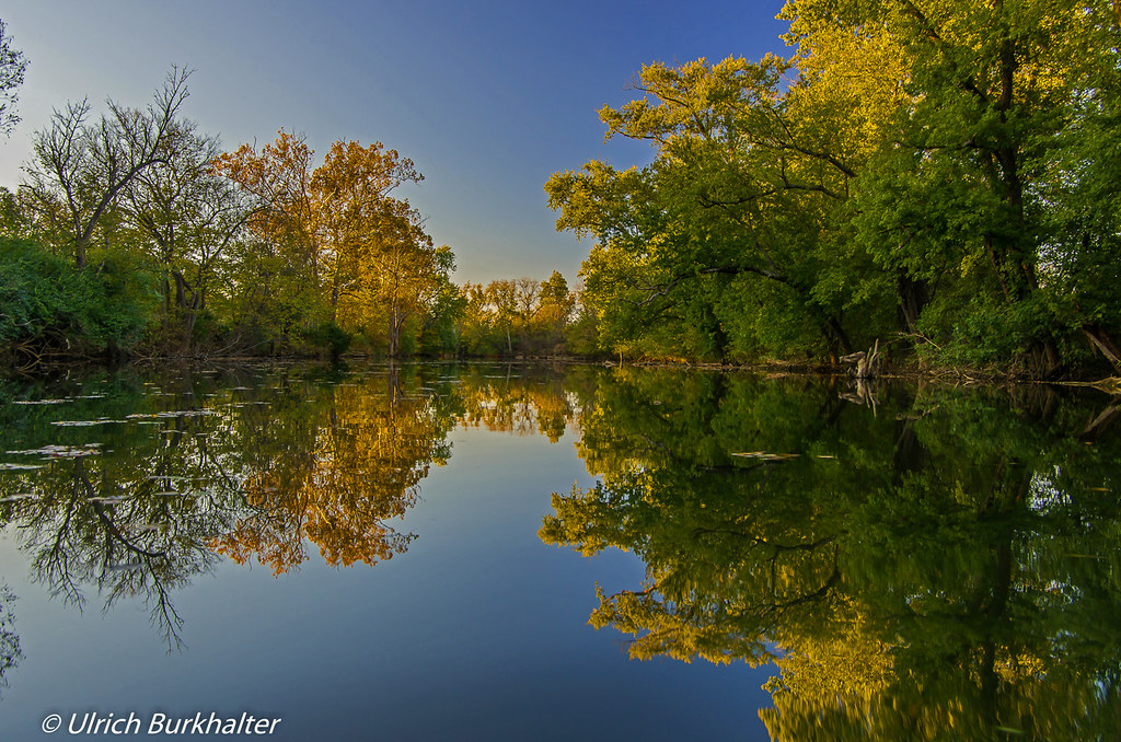 On the North Fork of Elkhorn Creek near the Robinson dam i… Flickr