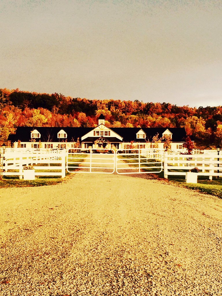 Horse Barn "Rooster" Flickr