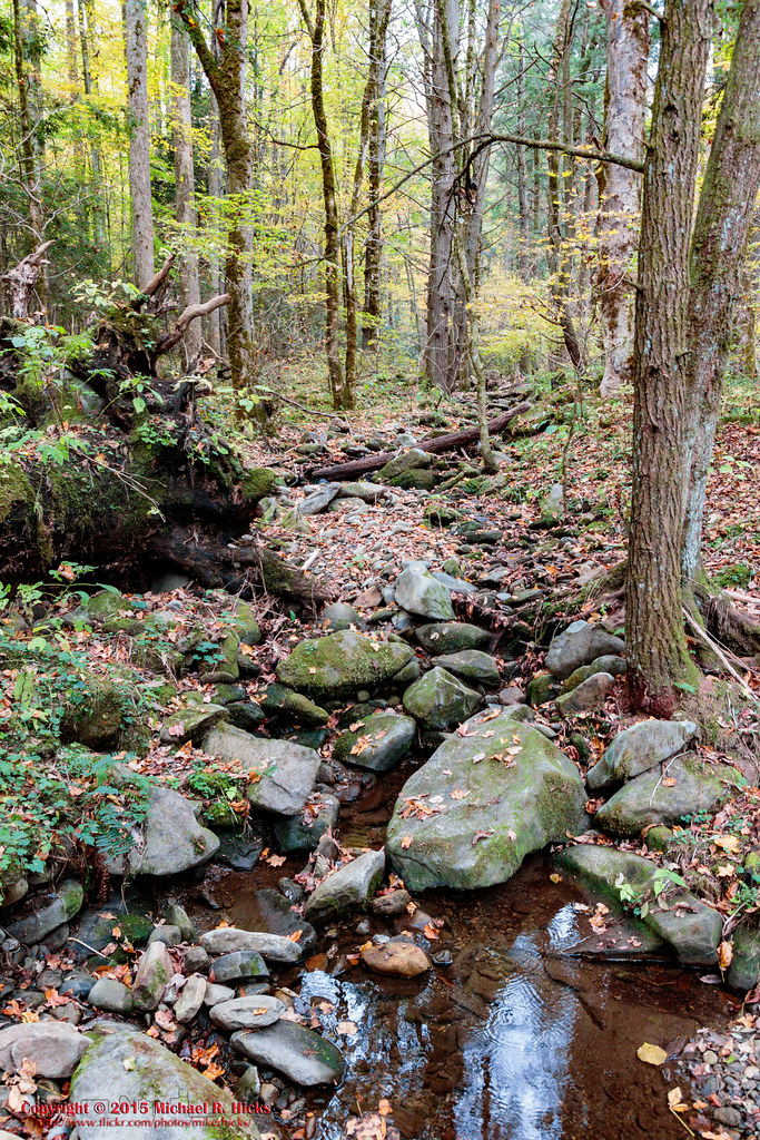 Cosby Campground Nature Trail Cosby Creek GSMNP Mount Ca… Flickr