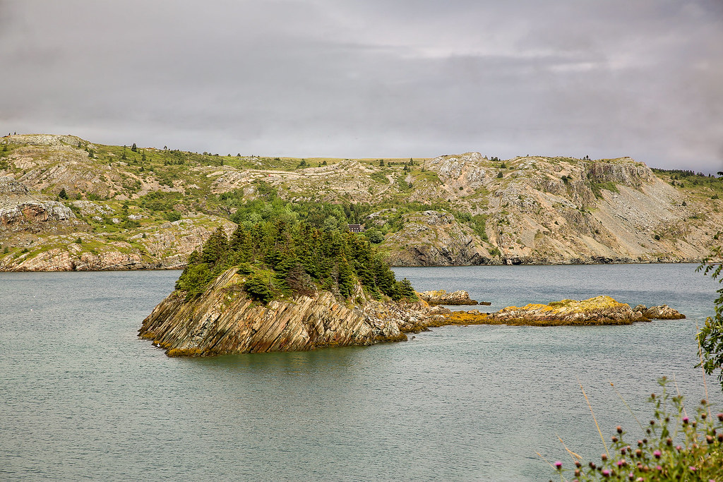 Elevation of 25 Farm Rd, Upper Island Cove, NL A0A 4E0, Canada