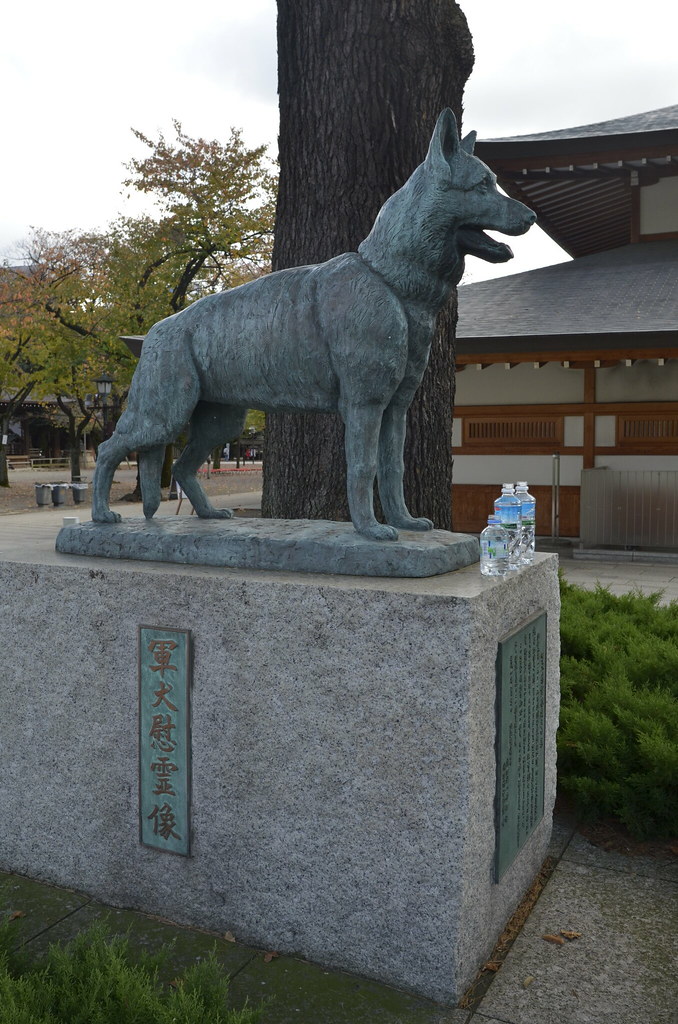 Yasukuni Shrine Statues for dogs who died in the war. Patrick Vierthaler Flickr