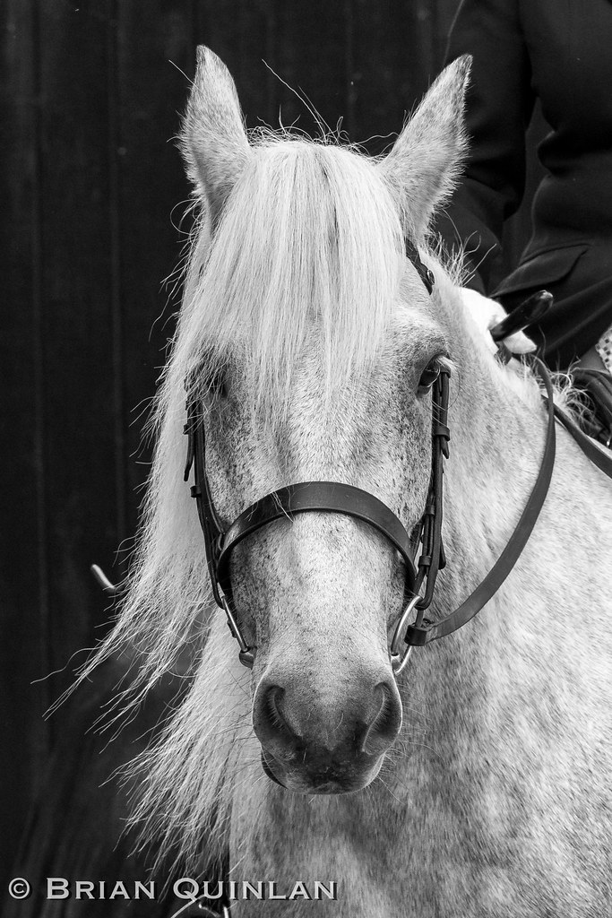 Atherton Old Hall Farm Leigh at Lenita Threadgill blog