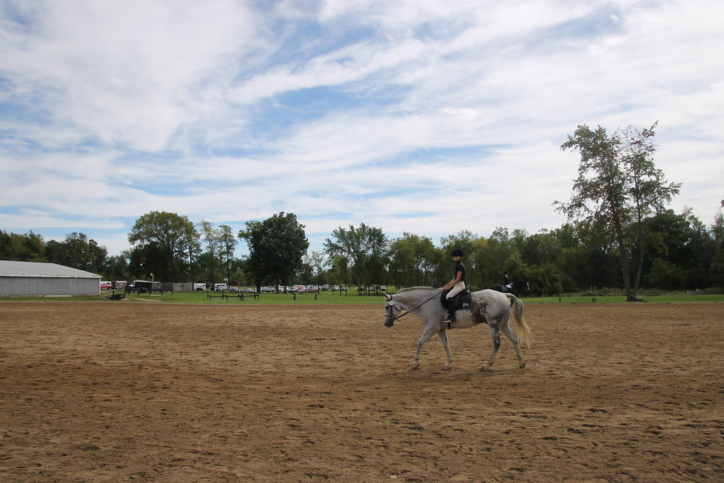 Dressage at Woodbine Schooling Show (September 20, 2015 … Flickr