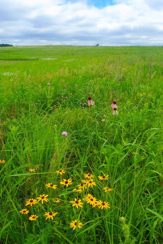 Prairie Barneveld Prairie Wisconsin State Natural Area 40… Flickr