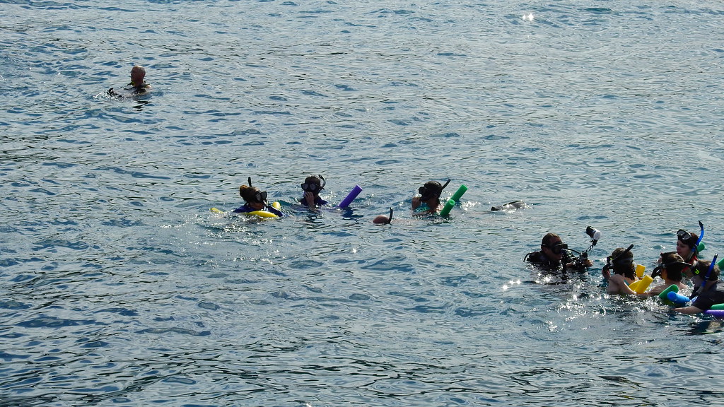 Snorkel Maui Snorkel at Molokini and Wailea Maui, Hawaii D… Flickr