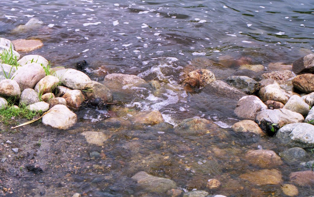 More Rocks Bridge at Federal Dam. Aitkin County, MN. June … Flickr
