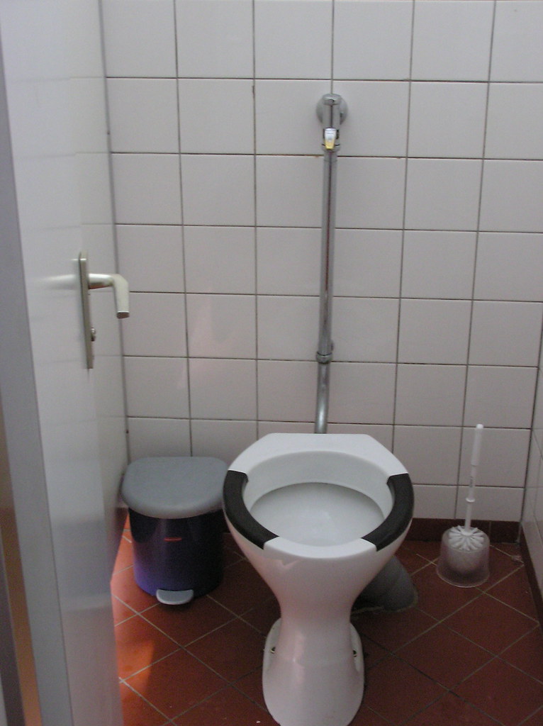 'hover'style toilet in Germany A few of the public toilet… Flickr