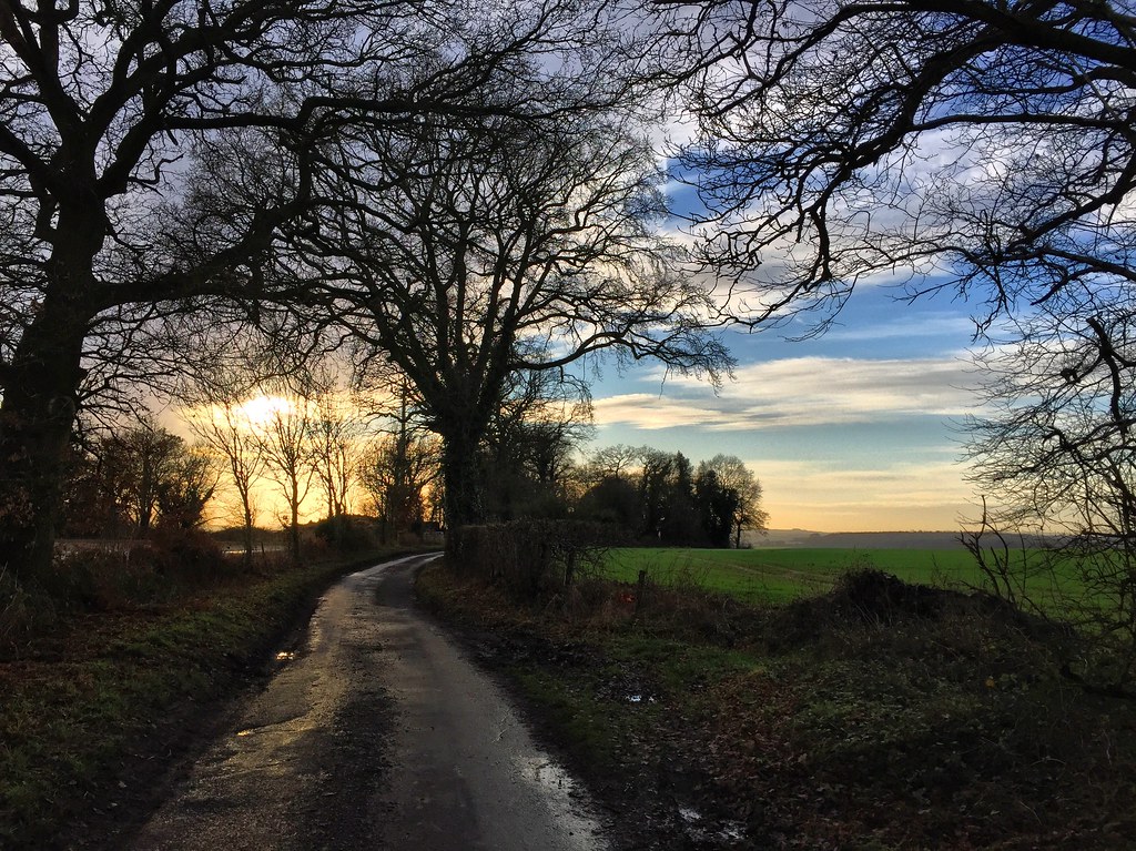Country Lane Four Marks, Hampshire. Marc Sayce Flickr