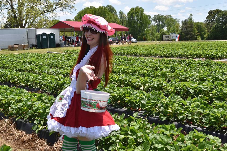 Strawberry Shortcake and Gang Picking Berries Katy H. Flickr
