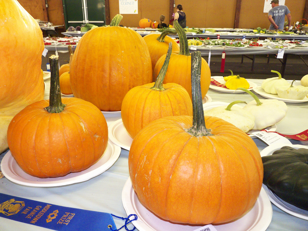 Middletown Grange Fair at Meghann Young blog