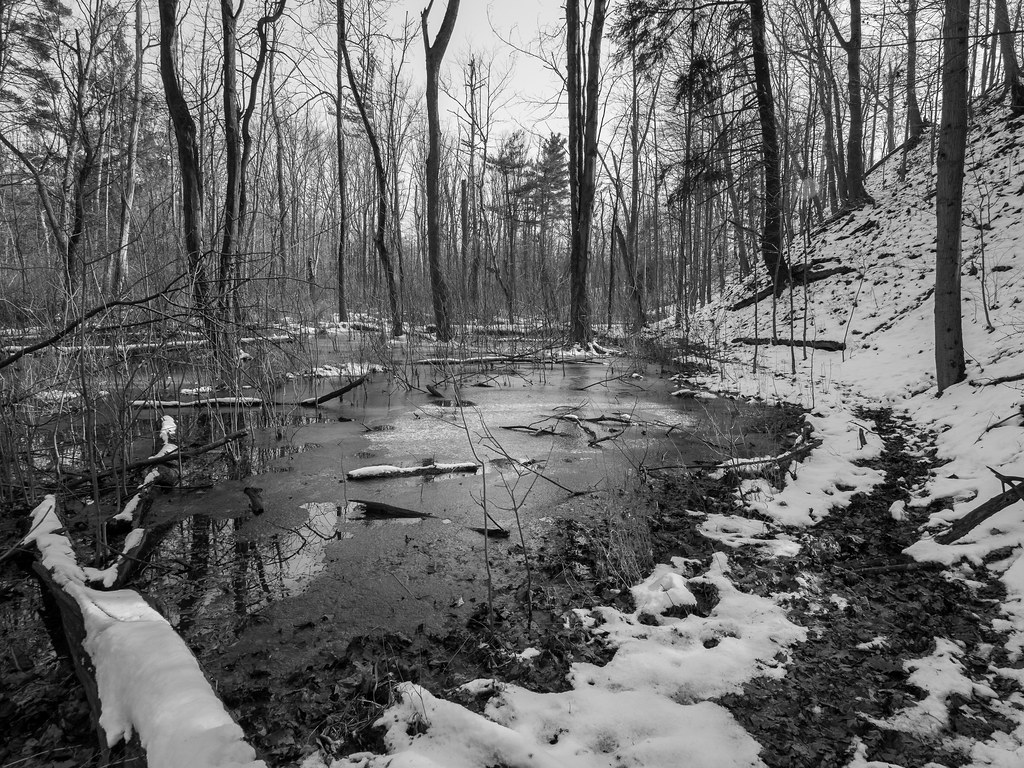 Elevation of North Royalton, OH, USA Topographic Map Altitude Map