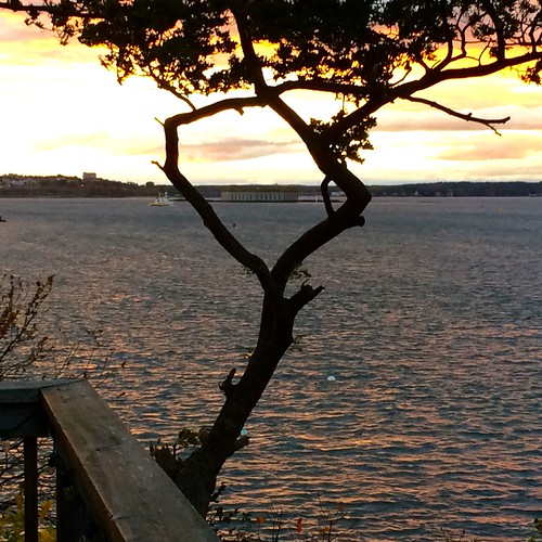 Fort (18581865) from Greenwood Garden Playhouse (1… Flickr