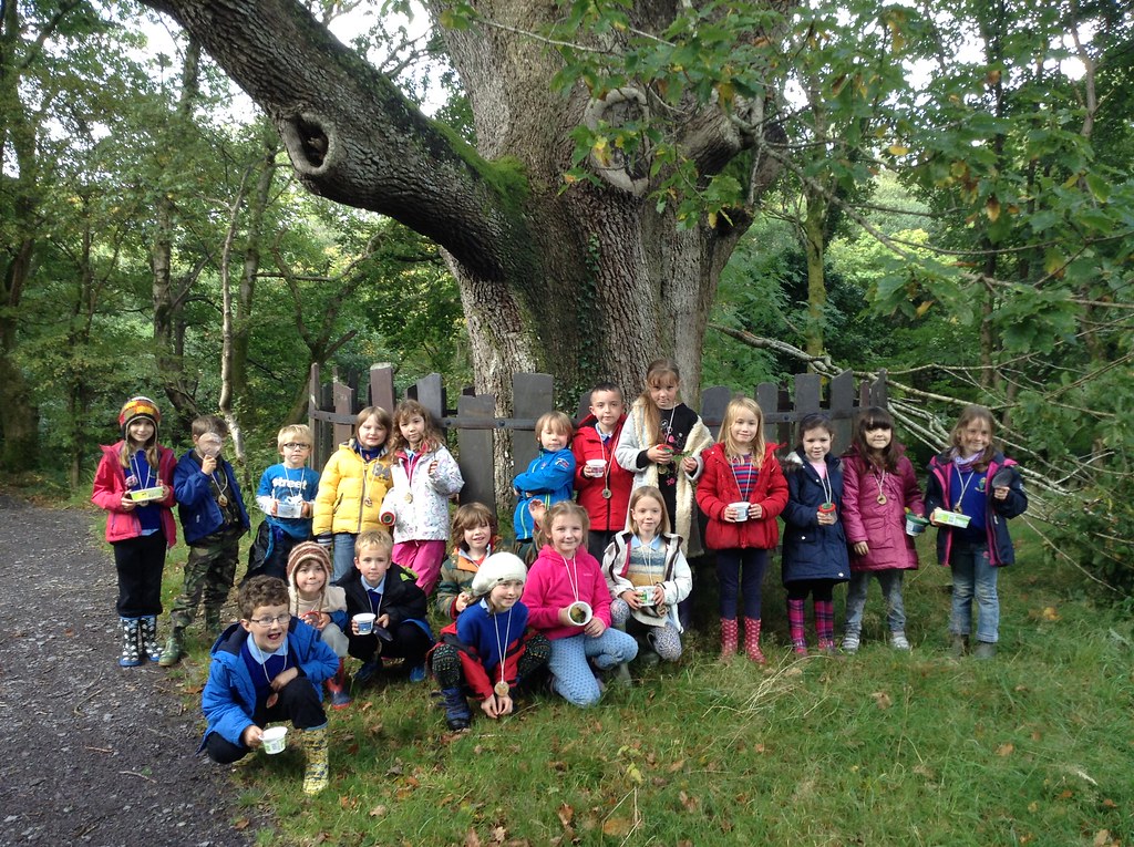 Coedwig Bryn Meurig (Tryfan) Flickr