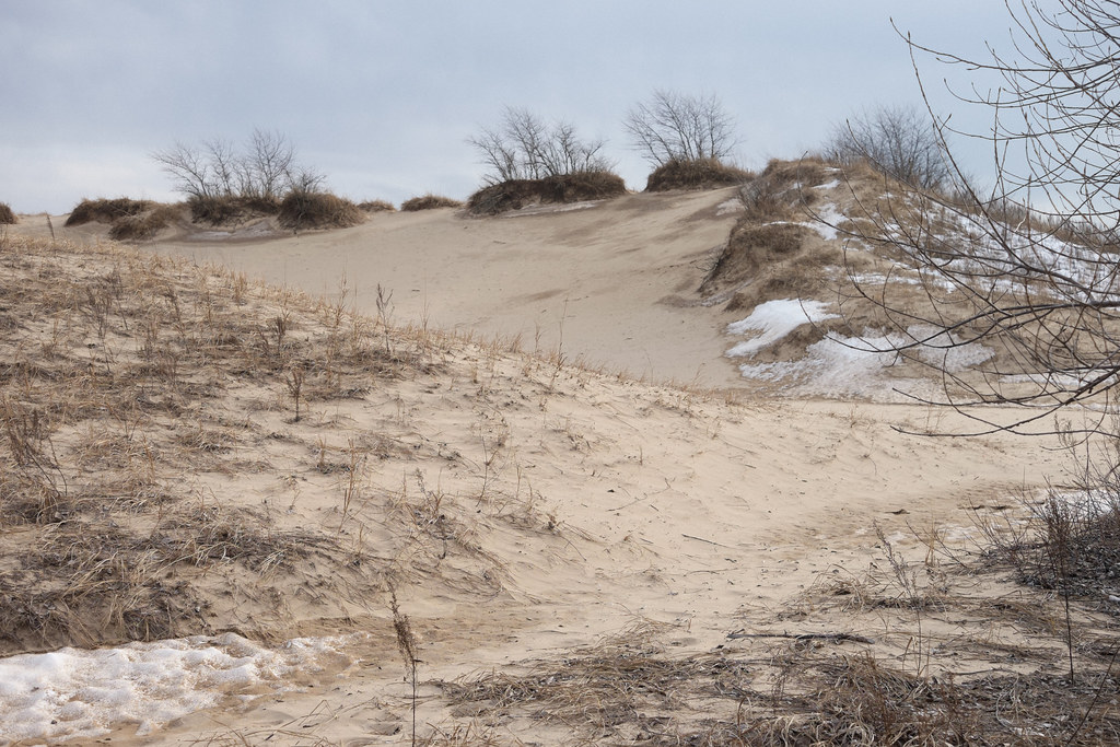 Winter in Kohler Andre State Park Sand dunes nearby Lake M… Flickr