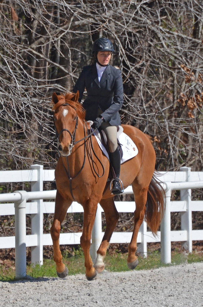 College of Charleston Spring 2017 Equestrian Event Flickr