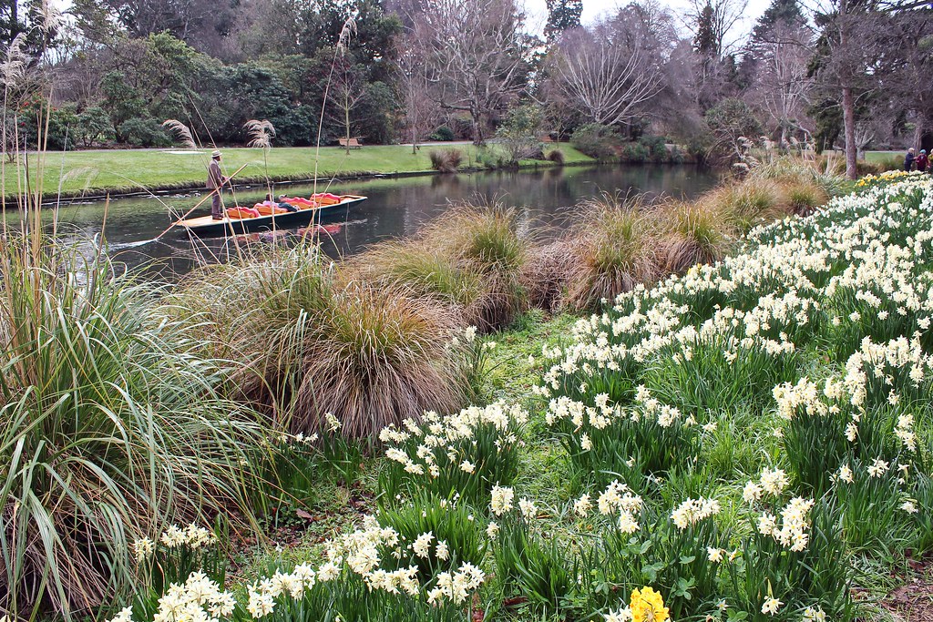 Botanic Gardens & Hagley Park Flickr