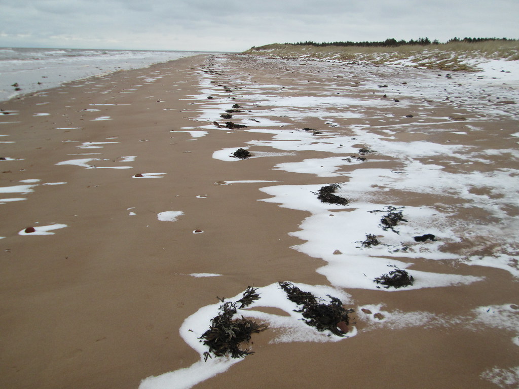 Covehead Beach, PEI National Park December 28, 2016 Larry Flickr