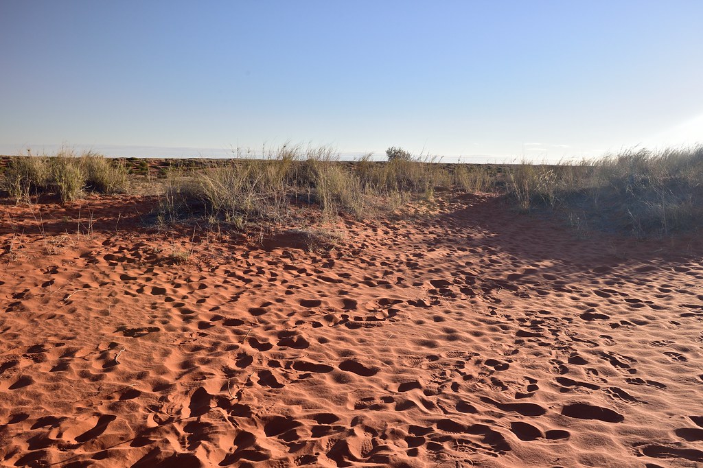 Kalahari desert, Kalahari, Northern Cape, South Africa Flickr