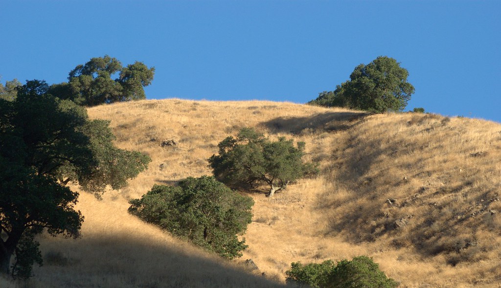 Niles Canyon Stroll 10_15 Picture 65 Niles Canyon Stroll 1… Flickr