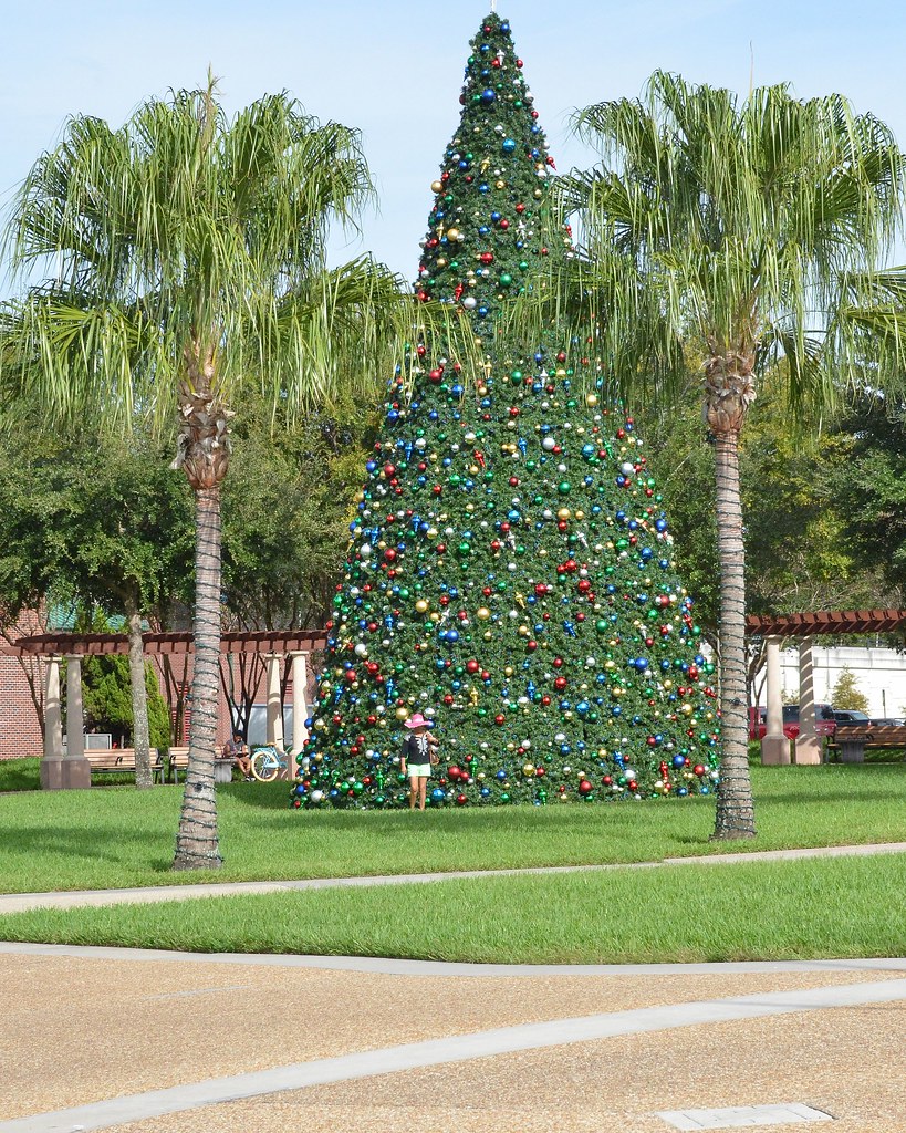 F6K_8508 Florida Christmas Tree. Lake Mirror, Downtown Lak… Flickr
