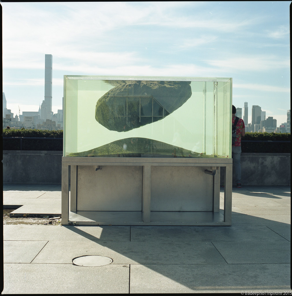 The Roof Garden Commission Pierre Huyghe An interesting wo… Flickr