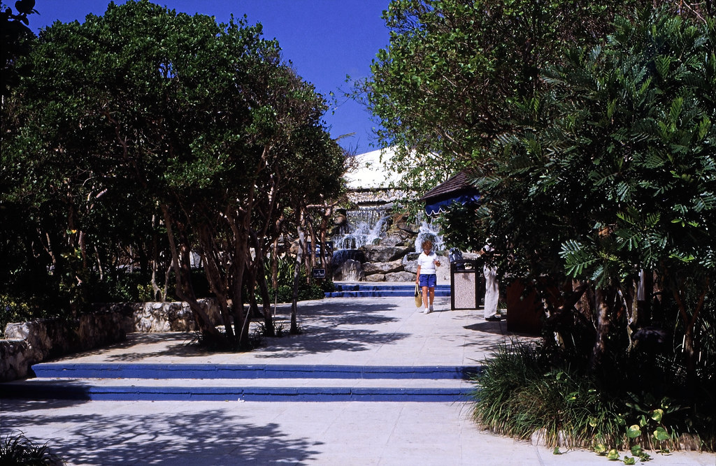 Bahamas 1988 (130) New Providence Coral World, Nassau Flickr
