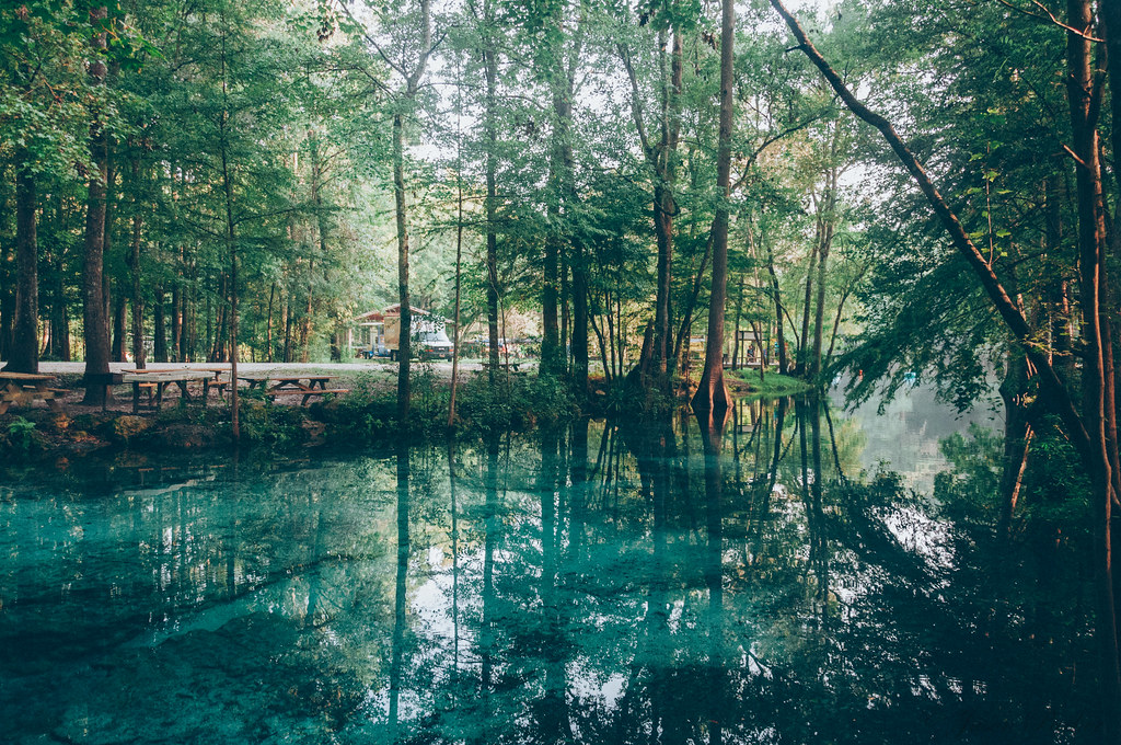 Devils Spring System The Devils Spring System has several … Flickr