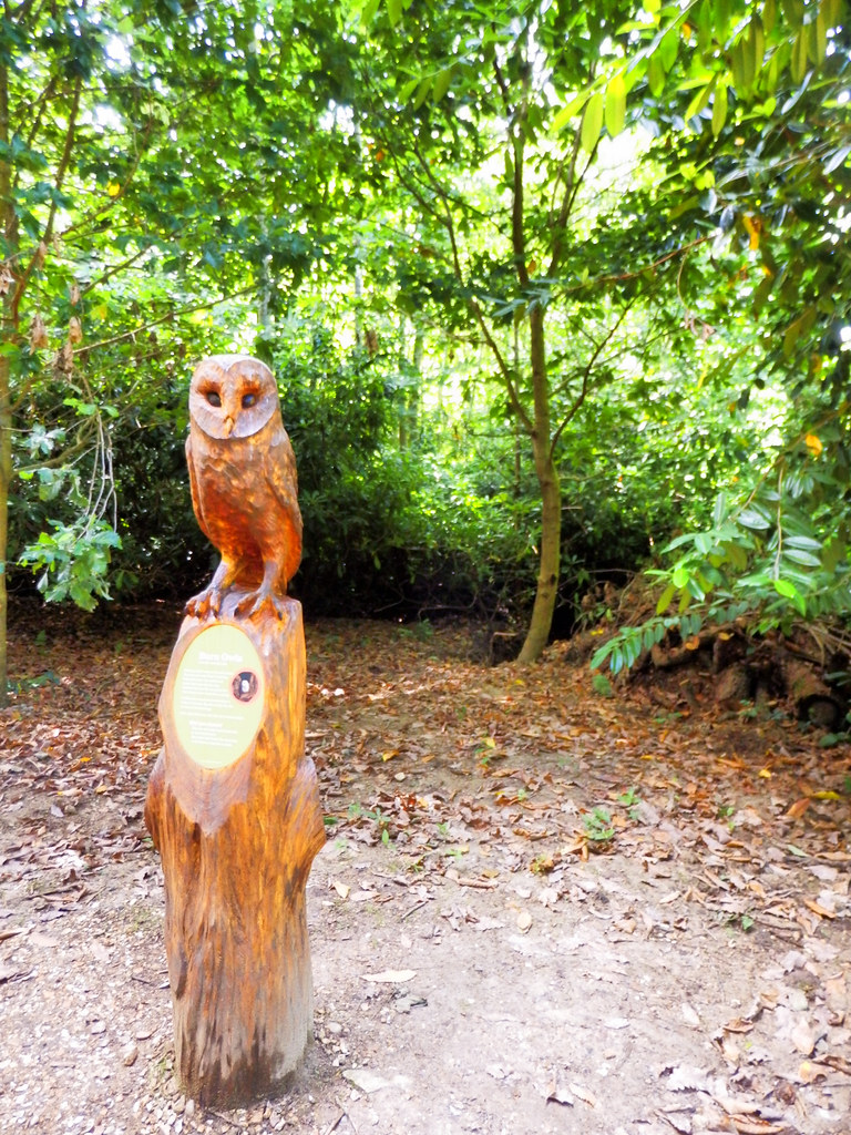 Woodland Walk, Osborne House, Isle of Wight Osborne House … Flickr