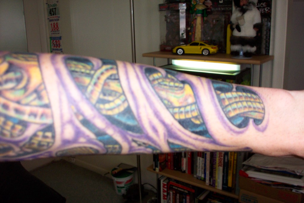biomechanical sleeve 09 BioMechanical Arm Sleeve, left l… Flickr