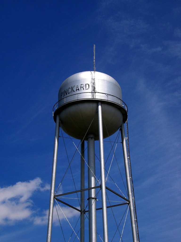 Pinckard Water Tower Watertower. Pinckard Alabama 0513A.DN… Don