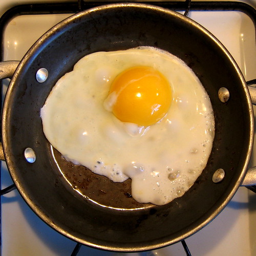 fried egg Nicholas Noyes Flickr