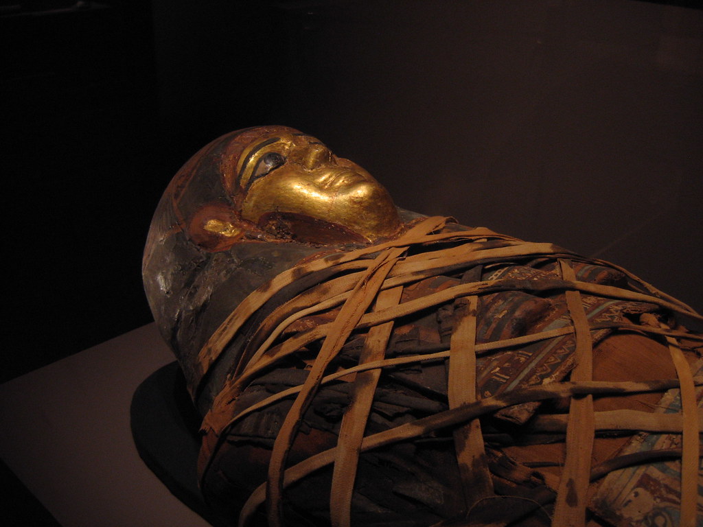 Egyptian Mummy | This is a real mummy. The kids were a littl… | Flickr