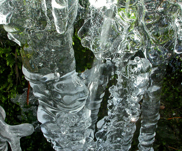 Christmas Tree Ice Cycles Ice Cycle Nathan Kendall Flickr