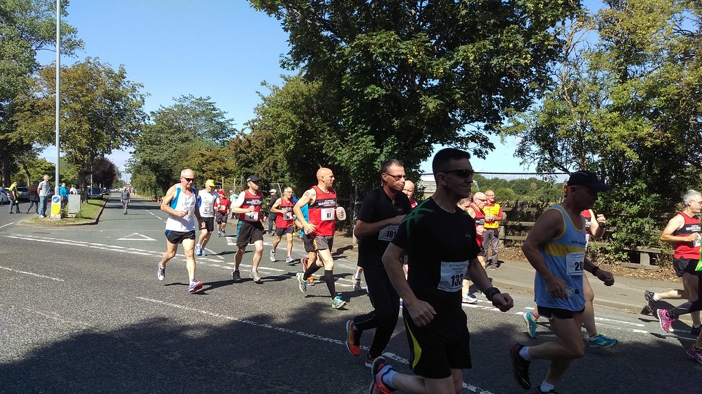 IMAG2332 Billingham Marsh House Harriers Flickr